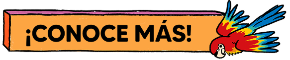 Conoce más